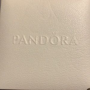 2 Pandora Charm Bracelets